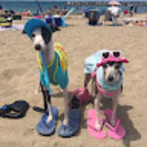 Meet your Posher, Cleopatra